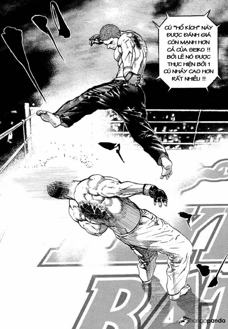 tough - miyazawa kiichi chapter 226 - Trang 2